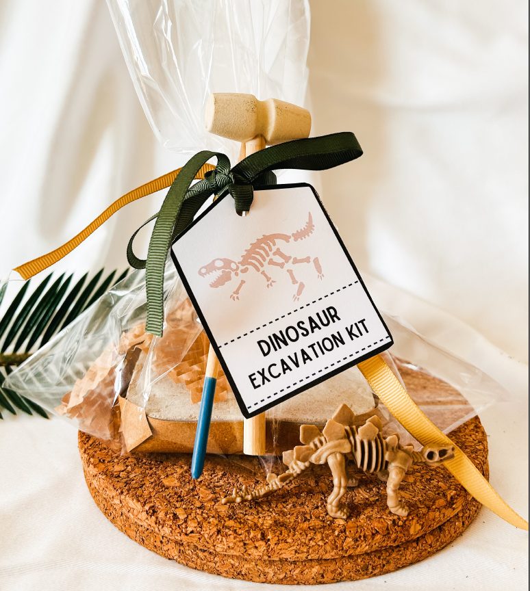 Mini Fossil Dig Kit