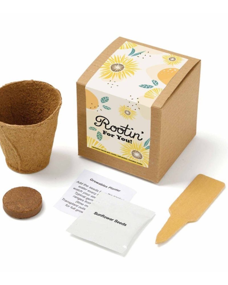 Plant Grow Kit
